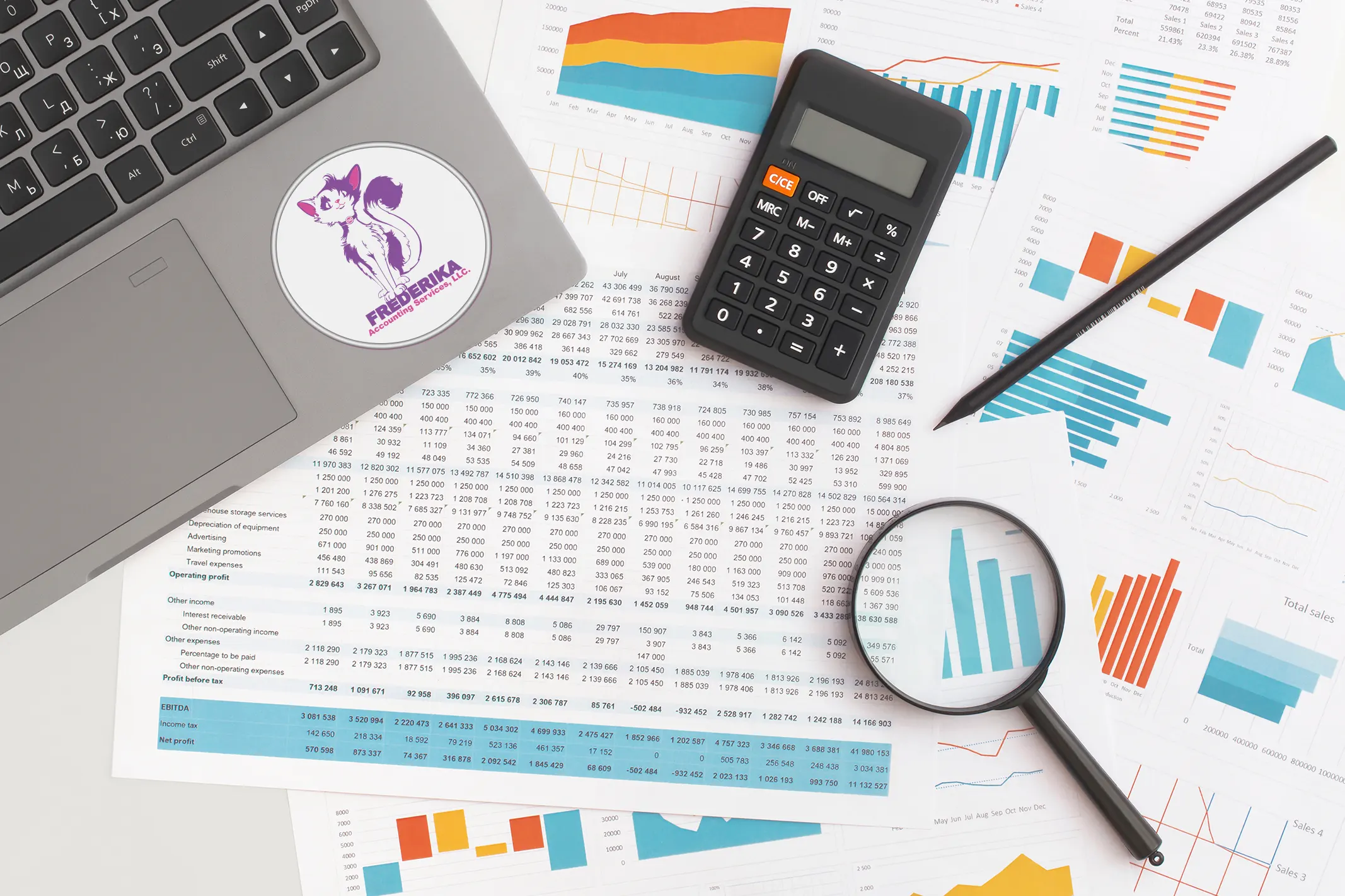 Professional accounting team at Frederika Accounting Services providing comprehensive financial solutions