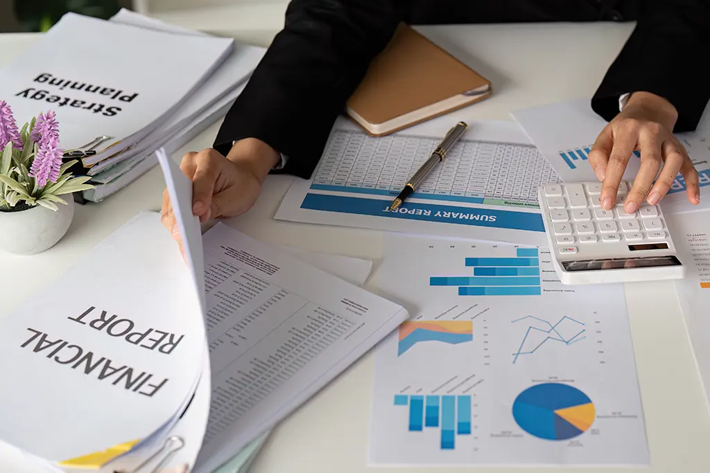 Professional accounting services - tax preparation and financial planning for small businesses in North Carolina